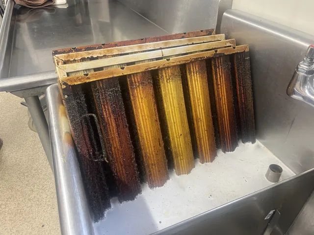 Removed baffle filters with dark grease buildup, standing in a sink before cleaning.